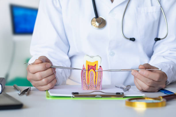 Best Cracked Tooth Emergency Dentist  in North Fort Myers, FL